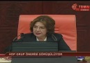 MHP Milletvekili Sinan Beğ'den tüm meclise ince ayar ...