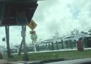 Miami beach Ford Mustang