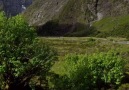 Milford Sound N Zelanda.vdeo de Devin Graham