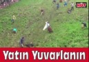 Millet bahçesi Yatın yuvarlanın