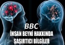 Milli Eğitim Tv - BBC - İnsan Beyni 3 Belgeseli Ufkumuzu...