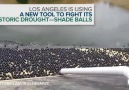 Millions Of 'Shade Balls' Protect LA's Water During Drought
