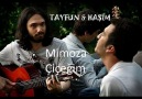 Mimoza Çiçeğim (Stüdyo Kayıt)-Haşim&Tayfun