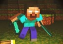 Minecraft Katliam Senaryosu D