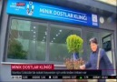 Minik Dostlar Kliniği