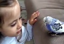 Minik Kızımız Kuşla Sohbeti )