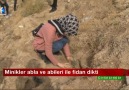 Minikler abla ve abileri ile fidan dikti