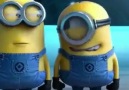 Minions Laugh At Anything