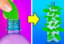 5-Minute Crafts - Plant hacks to help you grow your own...