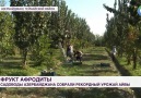 MİR TV Azrbaycan - Heyva yığımı Facebook