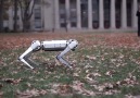 MIT&yeni ters takla atabilen robotu &quotMini Çita"