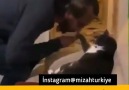 Mizah Türkiye Video - Bayramda artık bunlarla Facebook