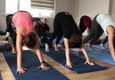 mK Yoga Merkezinin TT öğrencileri çok sıkı geliyor.