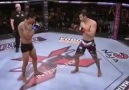 MMA maçında surata front kick