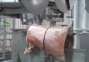 modern mezbaha Automated Lamb Boning System