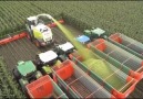 Modern Technology Agriculture Huge Machines