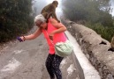 Monkeys Fight On Woman's Back