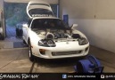 Monster Supra Dyno