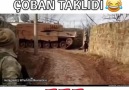 Moraller Tavan ) Afrinde Mehmetçikten Bingöllü Çoban Taklidi )