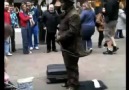 Most amazing human statue ever!
