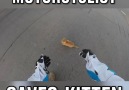 MotorCyclist Saves Kitten