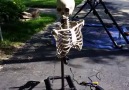 Motorized Pop Up Skeleton