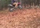 Motosalıncak