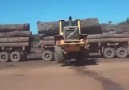Moving a Big Log