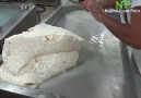 Mozeralla peyniri yapımından ilginç görüntüler