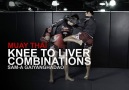 3 Muay Thai Liver Knee KO Combinations