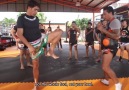 Muay Thai Push Kick Technique