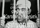 Mücahid Muhammed Mursi için Özel MUTLAKA TAVSİYE EDİYORUZ