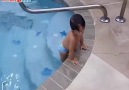 Muchos quisieran Nadar igual que este Beb Sguenos Instagram.comBumixOficial