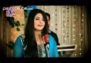 Muhabbat Ka Kharsedale - Gul Panra New ALbum Muhabbat Ka Kharseda