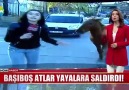 Muhabire Saldıran Atın Sahibi Konuştu - Röportaj Adam