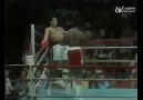 Muhammad Ali's amazing reflexes at close range.. :D