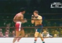 Muhammad Ali vs Oscar Bonavena