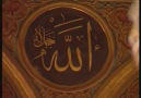 Muhammedin yarenleri - Hasan Dursun