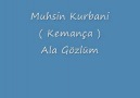 Muhsin Kurbani