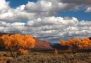 Muhteşem Doğa:Sonbahar_Gorgeous Nature:Autumn [720p HD]