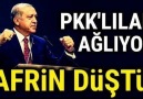 MÜJDELER OLSUN AFRİN BİZİMDİR. (18 Mart)