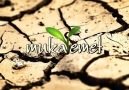 Mukavemet - Don Kişot
