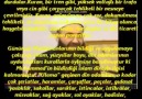 Murad İbrhimov - Müşriklrin Müslmanlar haqqında...