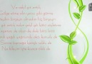 Murat İnce  - Çekil Git Desemde Gitme.