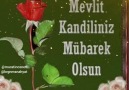 Murat İnce - Mevlid Kandiliniz mübarek olsun... Mevlid...