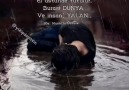 Murat İnce - Yalan Facebook