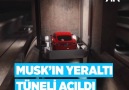 Musk&yeni girişim