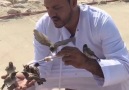 Muslim Man Feeding Birds
