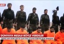 MÜSLÜMANLAR TERÖR YANLISI DEĞİLDİR..