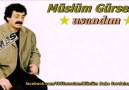 Müslüm Baba Sevdalısıyız - Usandım